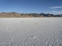 Utah Mountain Range: A Majestic Landscape in Nature