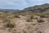 Utah Mountain Range: A Scenic View of Nature