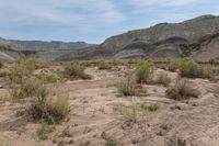 Utah Mountain Range: A Scenic View of Nature