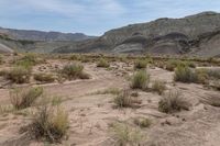 Utah Mountain Range: A Scenic View of Nature