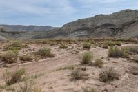 Utah Mountain Range: A Scenic View of Nature