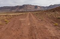 Utah Mountain Road with Gravel and Vegetation