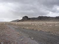 Utah Mountain Road Landscape