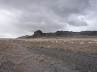 Utah Mountain Road Landscape