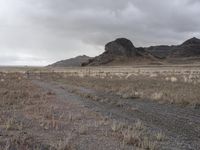 Utah Mountain Road Landscape