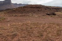 Utah Mountain Terrain: A Grassy Slope Amidst the Mountains