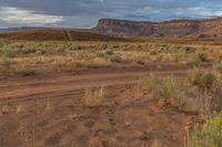 dirt road leading towards distant red cliffs and desert area in background with blue sky and clouds