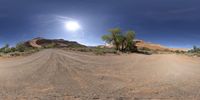 the view looking up at a road through a fisheye lens, and in this 360 - ball picture