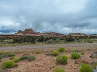 Utah Nature Day: Dirt Road Through the Beauty