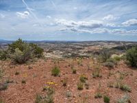 Utah Nature Overlook: A Blend of Dirt and Gravel Surface