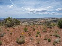 Utah Nature Overlook: A Blend of Dirt and Gravel Surface