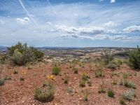 Utah Nature Overlook: A Blend of Dirt and Gravel Surface