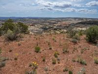 Utah Nature Overlook: A Blend of Dirt and Gravel Surface