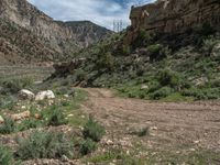 Utah Off-Road Landscape: Mountain Track Adventure