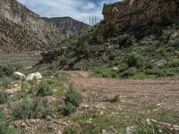 Utah Off-Road Landscape: Mountain Track Adventure