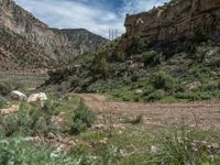 Utah Off-Road Landscape: Mountain Track Adventure