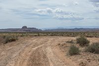 a large dirt road passing through a dry field of plants in the distance are distant mountains and sand dunes