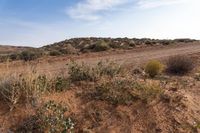 Utah Off-Road Track in Desert Landscape 001