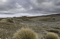 a road in the desert with very sparse shrubs and bushes and a grey sky in the background