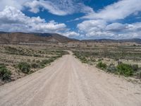 Utah's Off-Road Track: Surrounded by Nature