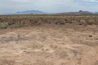 Utah Off-Road Tracks in Beige Sand Desert 002