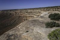 Utah Plains: A Natural Landscape with Grass Surface and Horizon