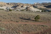 a lone horse that is standing in a field of dirt and grass on a hill