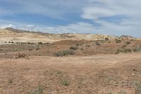 dirt path in desert area with sparse green shrubbery under blue sky and white clouds