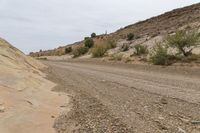 a dirt road is in a desert mountain, next to bushes and trees and rocks