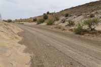 a dirt road is in a desert mountain, next to bushes and trees and rocks