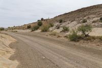 a dirt road is in a desert mountain, next to bushes and trees and rocks