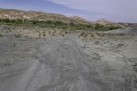 Utah's Red Rock Landscape: A Nature View