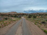 Utah's Red Rock Landscape: Straight Down the Road