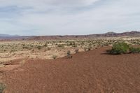 Utah's Red Rock Landscape: A Wilderness Adventure