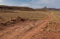 Utah's Red Rock Mountain: A Contrast with Grass