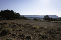 a dry field that has some trees on it with mountains in the background, and a blue sky