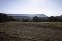 a dry field that has some trees on it with mountains in the background, and a blue sky