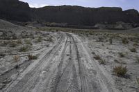 Utah Red Rock Road Landscape