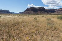 an open plain with some brown and green plants on it's sides and mountains in the background