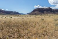 an open plain with some brown and green plants on it's sides and mountains in the background