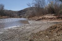 a river near a dry grassy hill on a clear day with some very thin branches