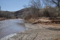 a river near a dry grassy hill on a clear day with some very thin branches