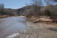 a river near a dry grassy hill on a clear day with some very thin branches