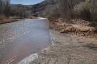 a river near a dry grassy hill on a clear day with some very thin branches