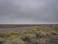 a large long gray road surrounded by yellow flowers on the side of it with a cloudy sky