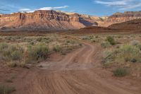 dirt road leading through desert with mountains in the background with blue skies above it and green shrubs on either side of it