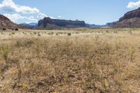 the grass is brown with yellow flowers in front of some mountains and rocks and clouds