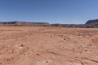 the dirt is brown and arid, but there are small plants growing out of it