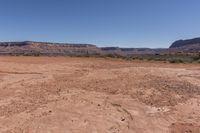 the dirt is brown and arid, but there are small plants growing out of it