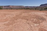 the dirt is brown and arid, but there are small plants growing out of it